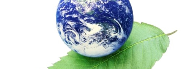 2012թ Միաբանության Գարնանային  Համագումար Green World